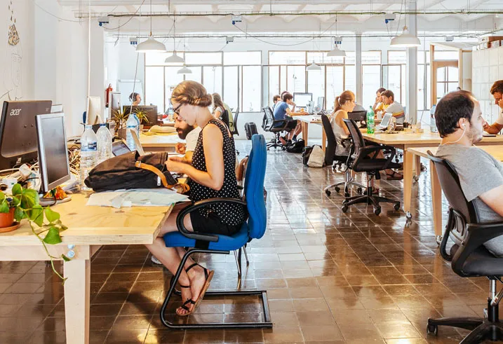 The team working in an open-plan office